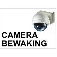 TBD 29B camerabewaking